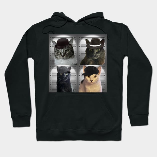 Cat in the Wall Gang Hoodie by CriticCat